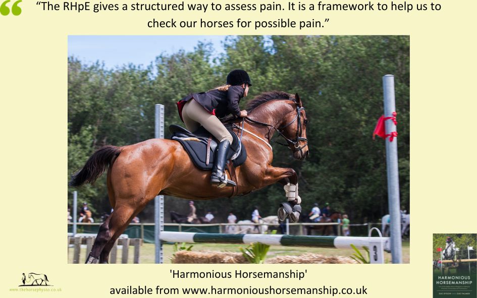 The RHpE gives a structured way to assess pain. It is a framework to help us to check our horses for possible pain. 