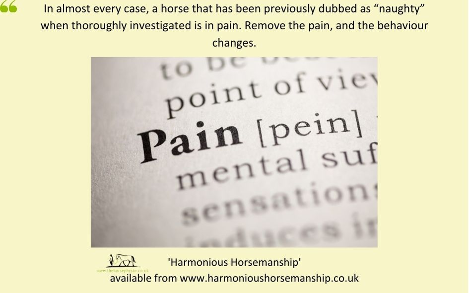 "In almost every case, a horse that has been previously dubbed as “naughty” when thoroughly investigated is in pain. Remove the pain, and the behaviour changes."